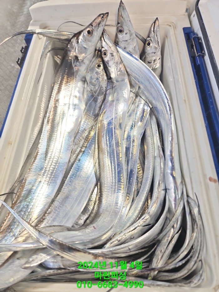 40680ee8df92c6a6011fd24f47545d93_1730689114_6302.jpg 40680ee8df92c6a6011fd24f47545d93_1730689114_6302.jpg