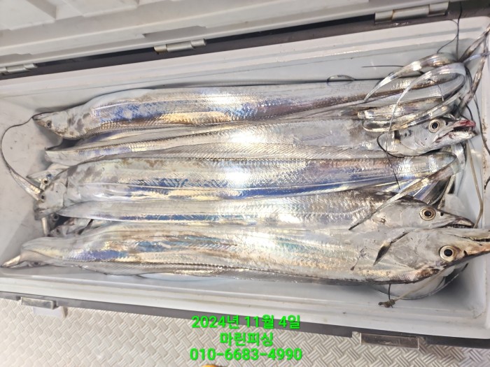 40680ee8df92c6a6011fd24f47545d93_1730689115_6228.jpg 40680ee8df92c6a6011fd24f47545d93_1730689115_6228.jpg