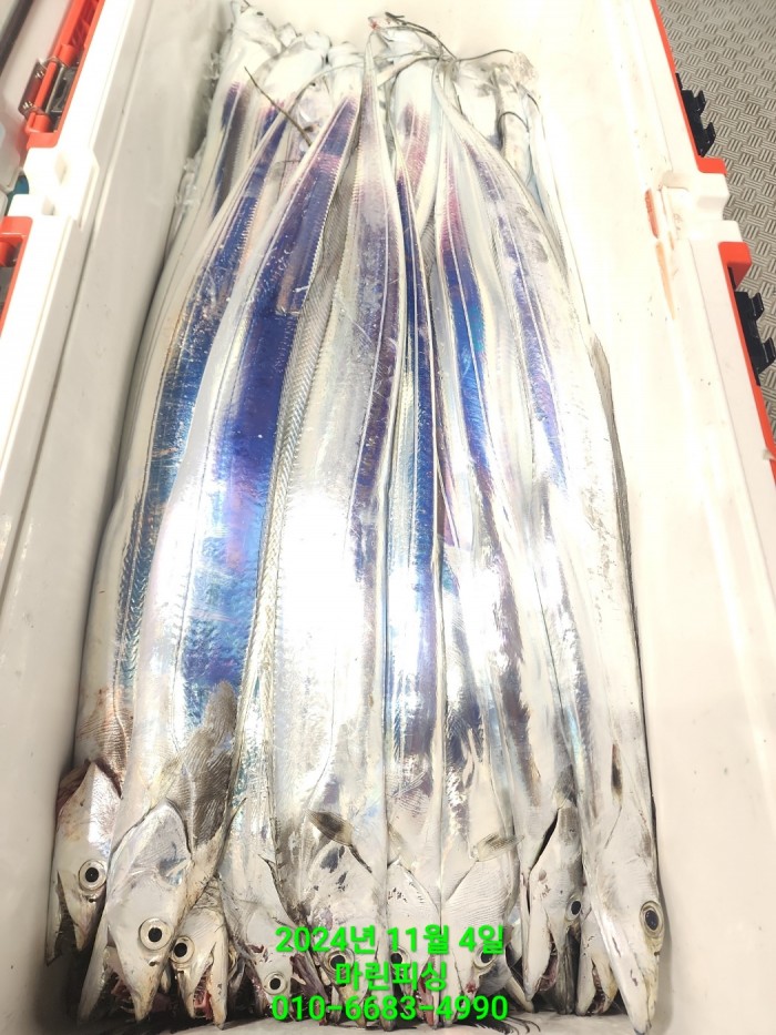 40680ee8df92c6a6011fd24f47545d93_1730689116_811.jpg 40680ee8df92c6a6011fd24f47545d93_1730689116_811.jpg