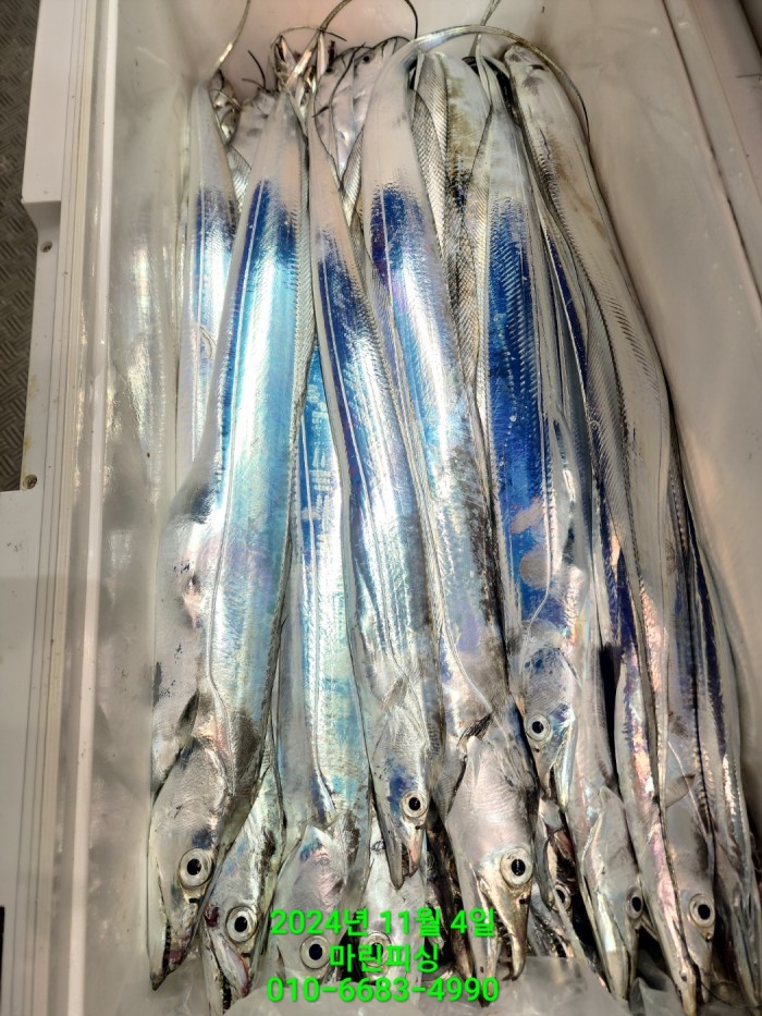 40680ee8df92c6a6011fd24f47545d93_1730689118_0597.jpg 40680ee8df92c6a6011fd24f47545d93_1730689118_0597.jpg