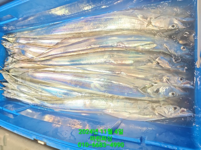 40680ee8df92c6a6011fd24f47545d93_1730689119_5384.jpg 40680ee8df92c6a6011fd24f47545d93_1730689119_5384.jpg