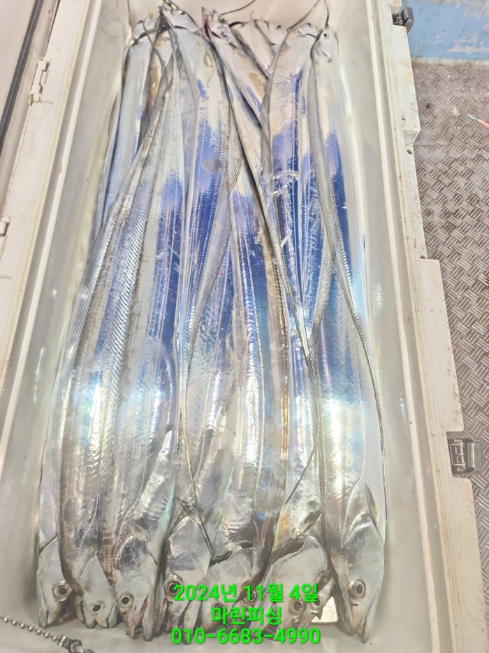 40680ee8df92c6a6011fd24f47545d93_1730689120_7351.jpg 40680ee8df92c6a6011fd24f47545d93_1730689120_7351.jpg