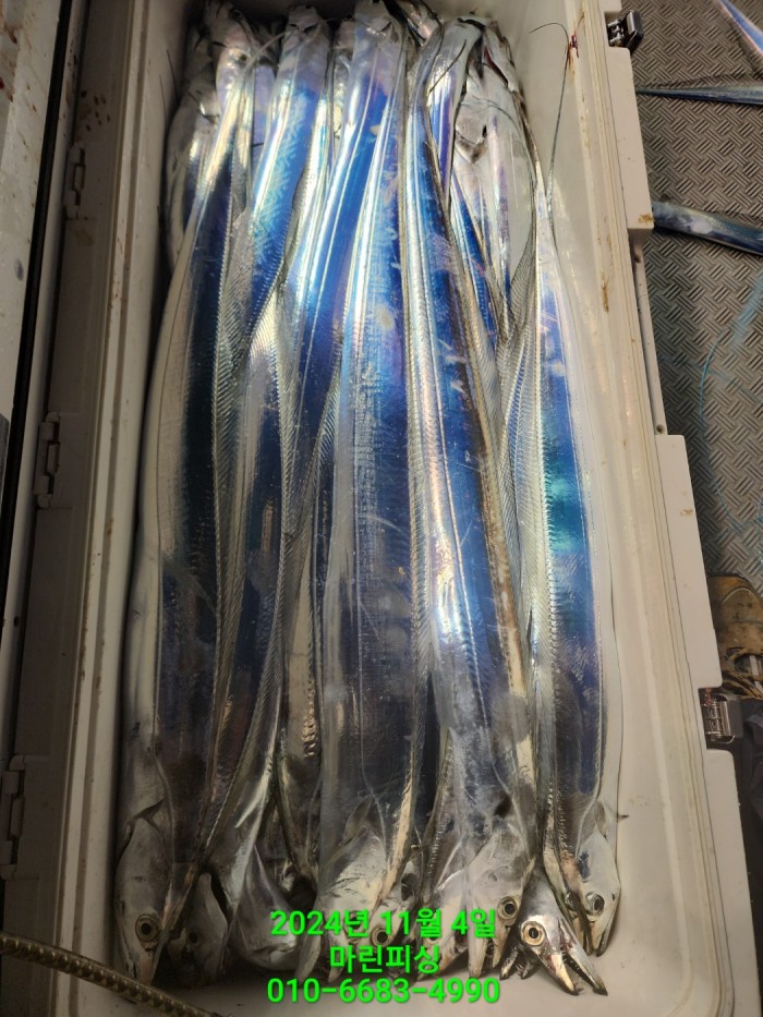 40680ee8df92c6a6011fd24f47545d93_1730689123_2009.jpg 40680ee8df92c6a6011fd24f47545d93_1730689123_2009.jpg