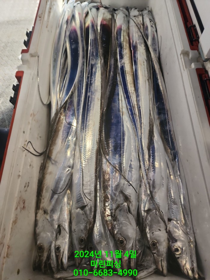 40680ee8df92c6a6011fd24f47545d93_1730689125_4008.jpg 40680ee8df92c6a6011fd24f47545d93_1730689125_4008.jpg