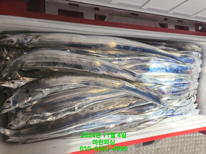 40680ee8df92c6a6011fd24f47545d93_1730689126_8903.jpg 40680ee8df92c6a6011fd24f47545d93_1730689126_8903.jpg