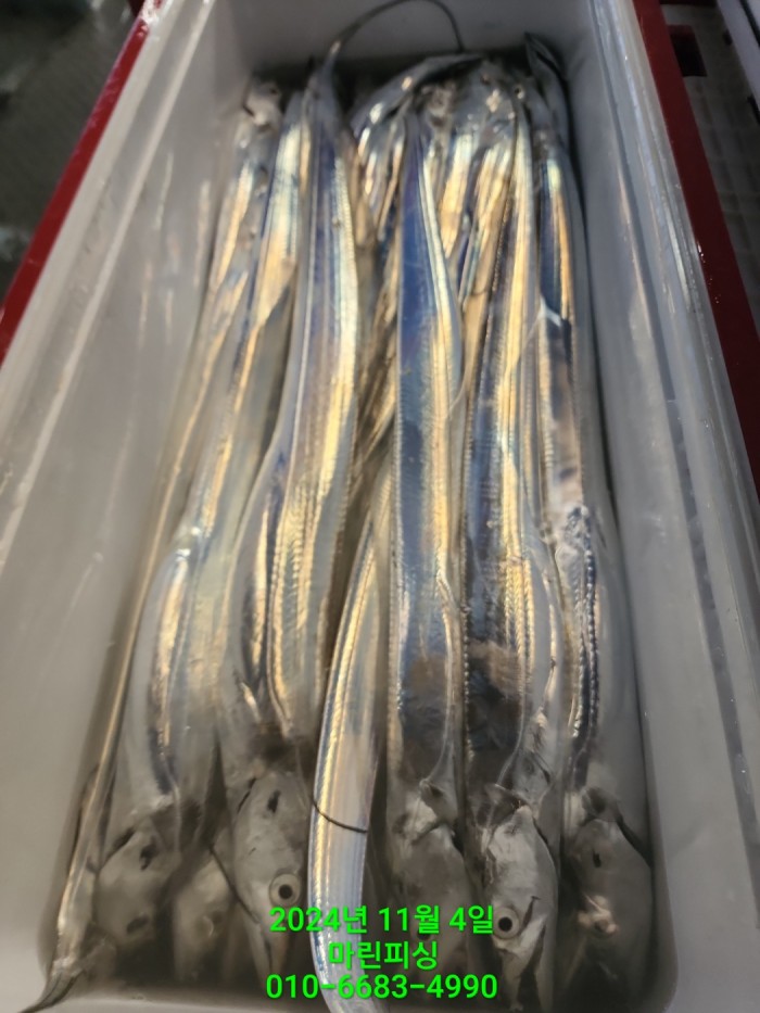 40680ee8df92c6a6011fd24f47545d93_1730689127_5305.jpg 40680ee8df92c6a6011fd24f47545d93_1730689127_5305.jpg