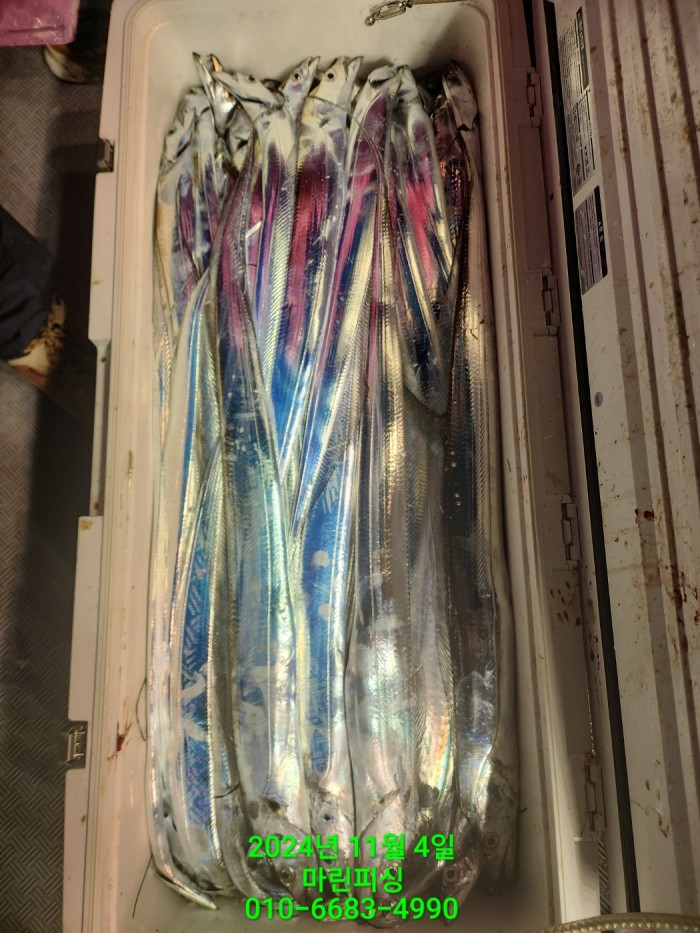 40680ee8df92c6a6011fd24f47545d93_1730689129_6345.jpg 40680ee8df92c6a6011fd24f47545d93_1730689129_6345.jpg