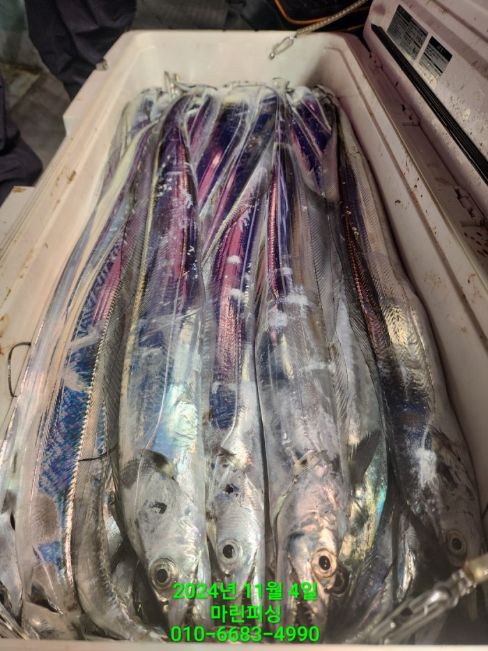 40680ee8df92c6a6011fd24f47545d93_1730689130_7285.jpg 40680ee8df92c6a6011fd24f47545d93_1730689130_7285.jpg