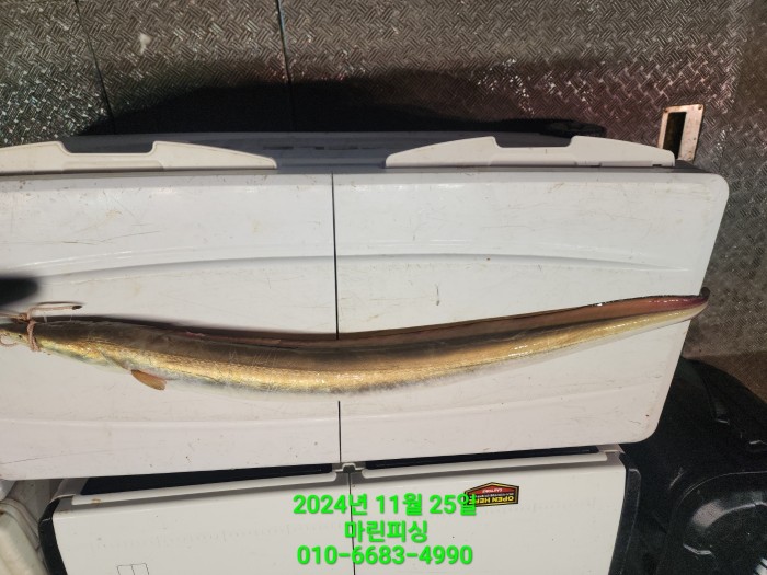 67d01b6a7eef1e654fe481dd5b2c9e45_1732506693_9191.jpg 67d01b6a7eef1e654fe481dd5b2c9e45_1732506693_9191.jpg