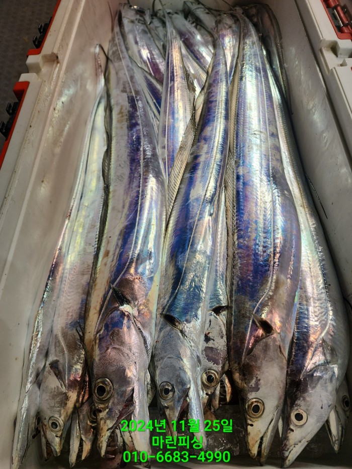 67d01b6a7eef1e654fe481dd5b2c9e45_1732506698_4238.jpg 67d01b6a7eef1e654fe481dd5b2c9e45_1732506698_4238.jpg