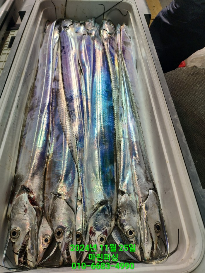 67d01b6a7eef1e654fe481dd5b2c9e45_1732506699_6679.jpg 67d01b6a7eef1e654fe481dd5b2c9e45_1732506699_6679.jpg