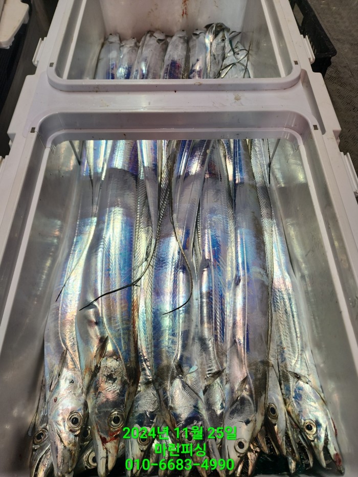 67d01b6a7eef1e654fe481dd5b2c9e45_1732506700_844.jpg 67d01b6a7eef1e654fe481dd5b2c9e45_1732506700_844.jpg