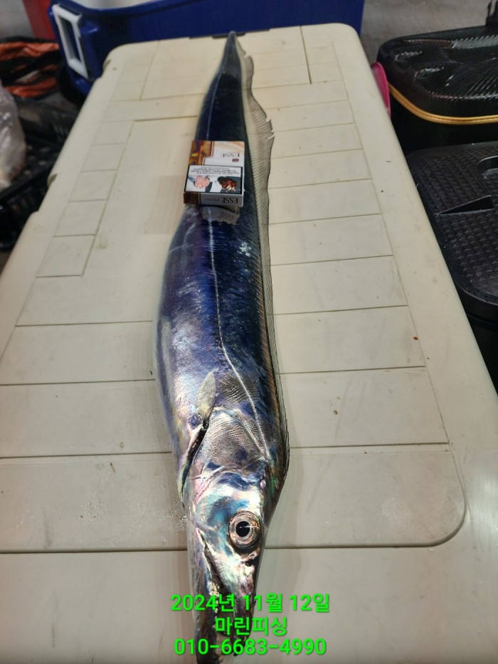 70be7d9012e9f25c3eadaf68c7578fba_1731372921_4867.jpg 70be7d9012e9f25c3eadaf68c7578fba_1731372921_4867.jpg