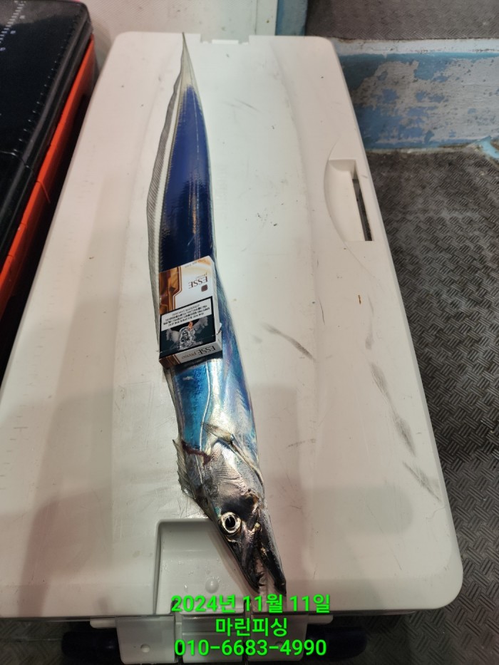 70be7d9012e9f25c3eadaf68c7578fba_1731372924_418.jpg 70be7d9012e9f25c3eadaf68c7578fba_1731372924_418.jpg