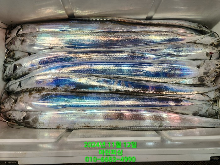 70be7d9012e9f25c3eadaf68c7578fba_1731372927_4526.jpg 70be7d9012e9f25c3eadaf68c7578fba_1731372927_4526.jpg