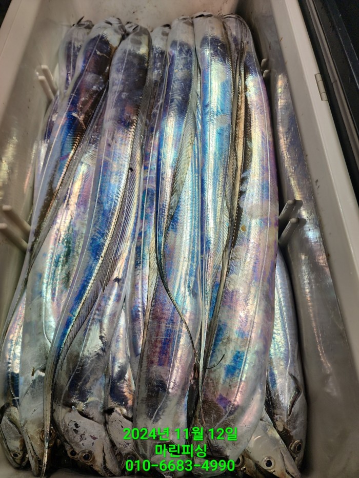 70be7d9012e9f25c3eadaf68c7578fba_1731372930_0852.jpg 70be7d9012e9f25c3eadaf68c7578fba_1731372930_0852.jpg