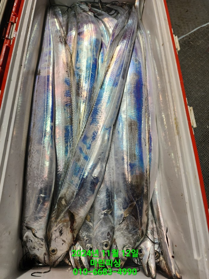 70be7d9012e9f25c3eadaf68c7578fba_1731372932_8899.jpg 70be7d9012e9f25c3eadaf68c7578fba_1731372932_8899.jpg