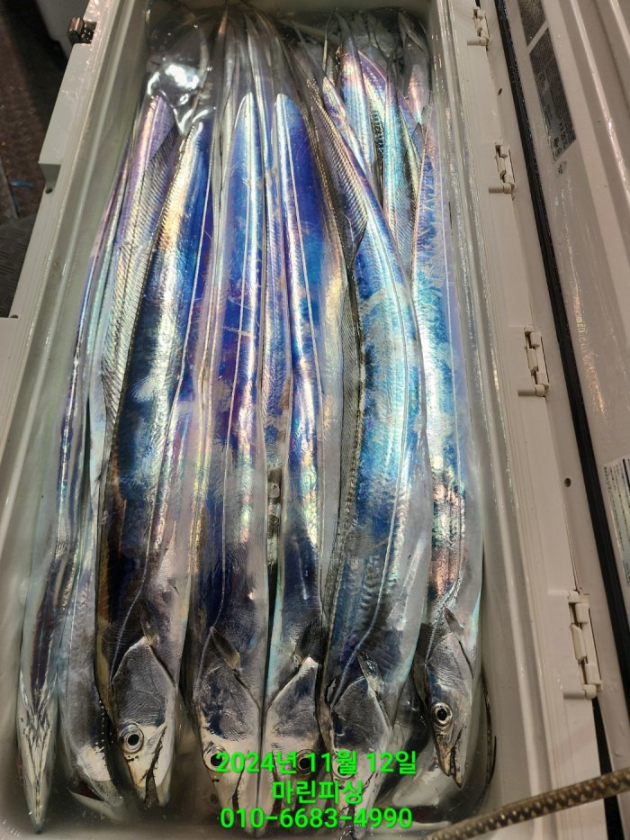 70be7d9012e9f25c3eadaf68c7578fba_1731372935_7269.jpg 70be7d9012e9f25c3eadaf68c7578fba_1731372935_7269.jpg