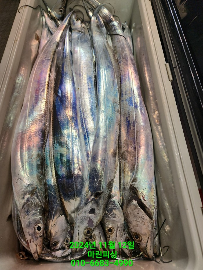 70be7d9012e9f25c3eadaf68c7578fba_1731372937_0283.jpg 70be7d9012e9f25c3eadaf68c7578fba_1731372937_0283.jpg