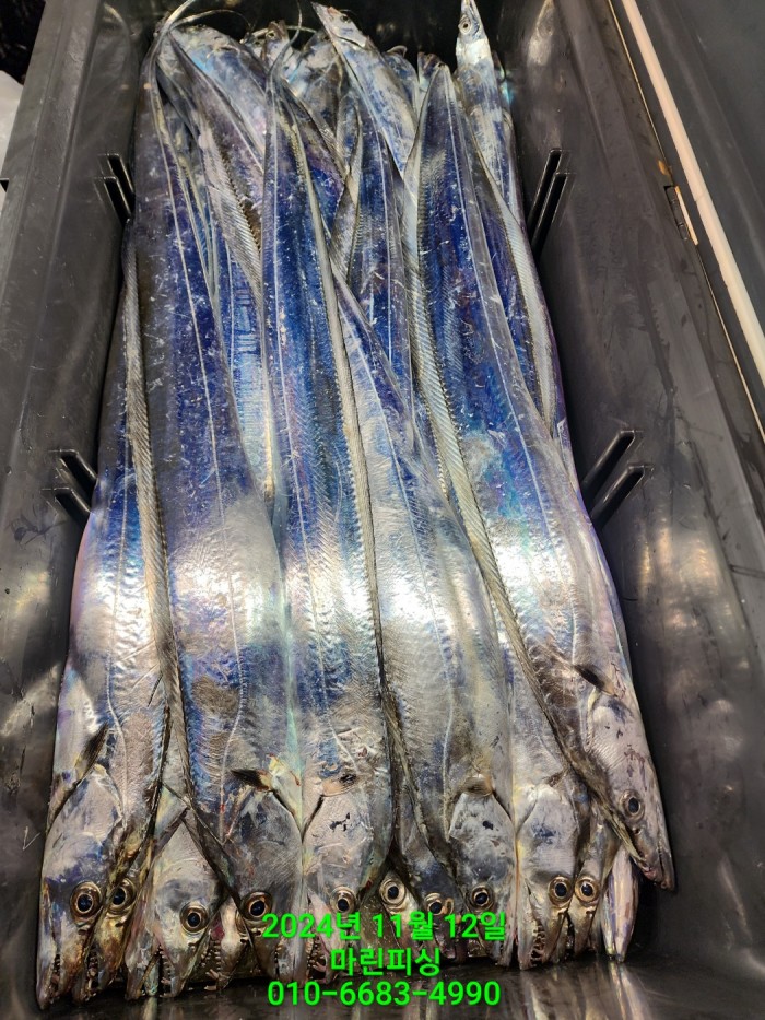 70be7d9012e9f25c3eadaf68c7578fba_1731372938_2086.jpg 70be7d9012e9f25c3eadaf68c7578fba_1731372938_2086.jpg