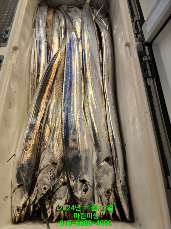 70be7d9012e9f25c3eadaf68c7578fba_1731372939_444.jpg 70be7d9012e9f25c3eadaf68c7578fba_1731372939_444.jpg