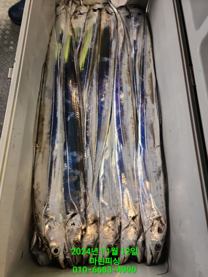 70be7d9012e9f25c3eadaf68c7578fba_1731372940_4534.jpg 70be7d9012e9f25c3eadaf68c7578fba_1731372940_4534.jpg