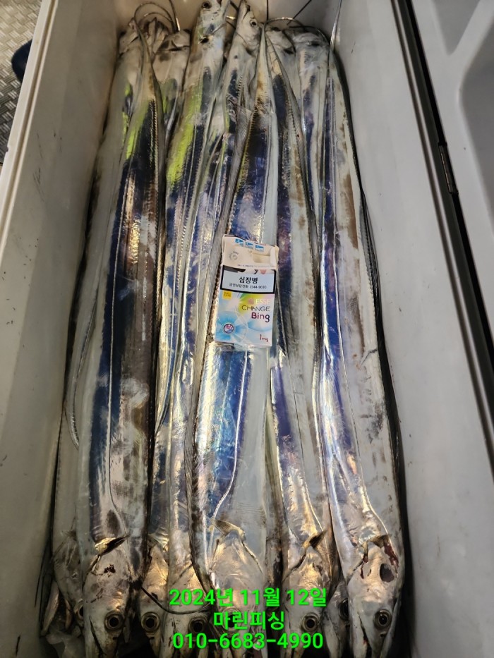 70be7d9012e9f25c3eadaf68c7578fba_1731372941_4471.jpg 70be7d9012e9f25c3eadaf68c7578fba_1731372941_4471.jpg