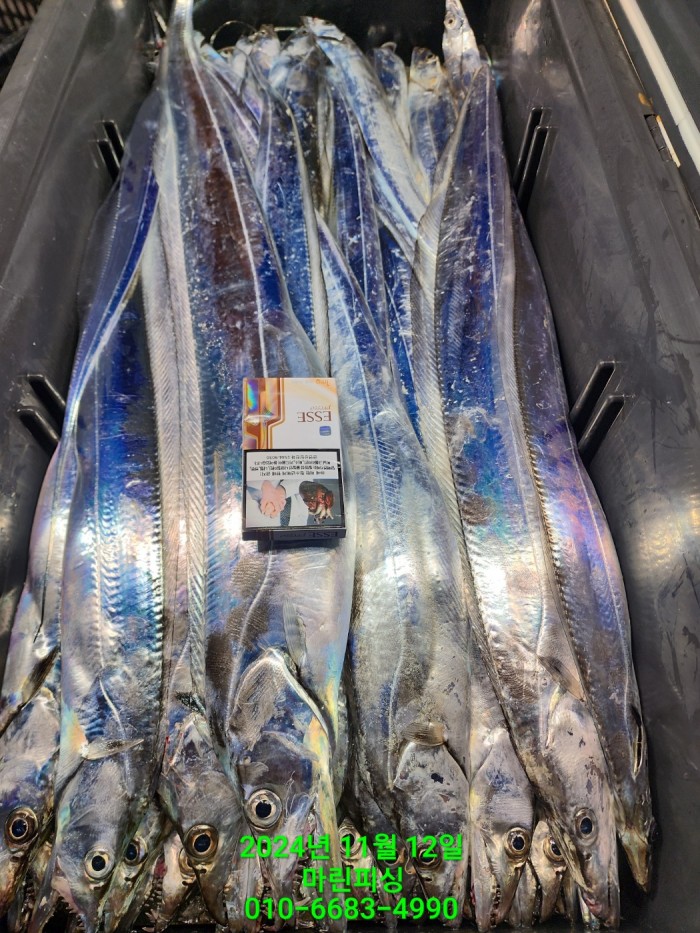 70be7d9012e9f25c3eadaf68c7578fba_1731372943_2222.jpg 70be7d9012e9f25c3eadaf68c7578fba_1731372943_2222.jpg