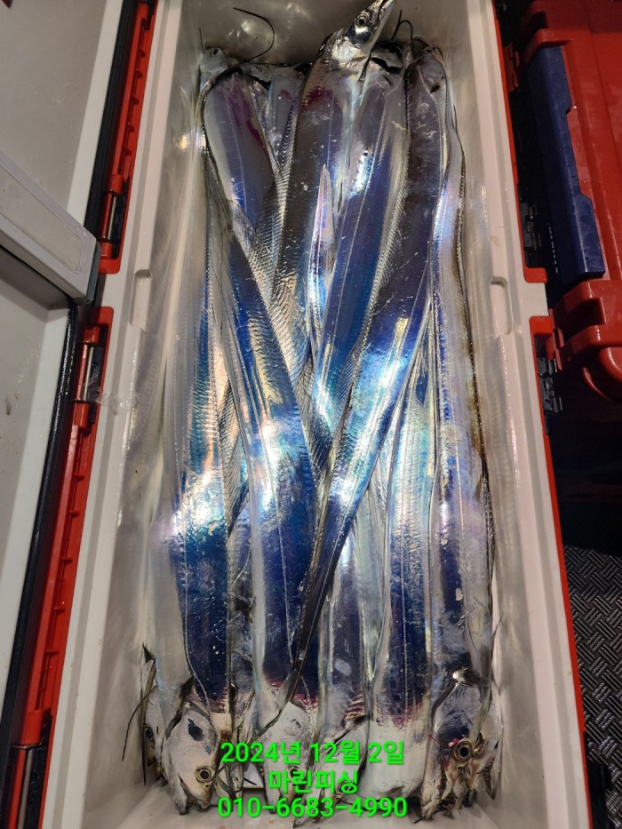 6de7b4ebaa5cd3a494d0d5bdc48c1904_1733108332_4625.jpg 6de7b4ebaa5cd3a494d0d5bdc48c1904_1733108332_4625.jpg