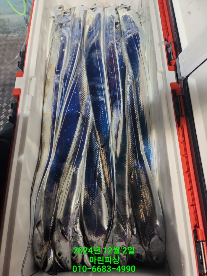 6de7b4ebaa5cd3a494d0d5bdc48c1904_1733108333_8101.jpg 6de7b4ebaa5cd3a494d0d5bdc48c1904_1733108333_8101.jpg