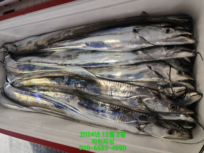 6de7b4ebaa5cd3a494d0d5bdc48c1904_1733108336_173.jpg 6de7b4ebaa5cd3a494d0d5bdc48c1904_1733108336_173.jpg