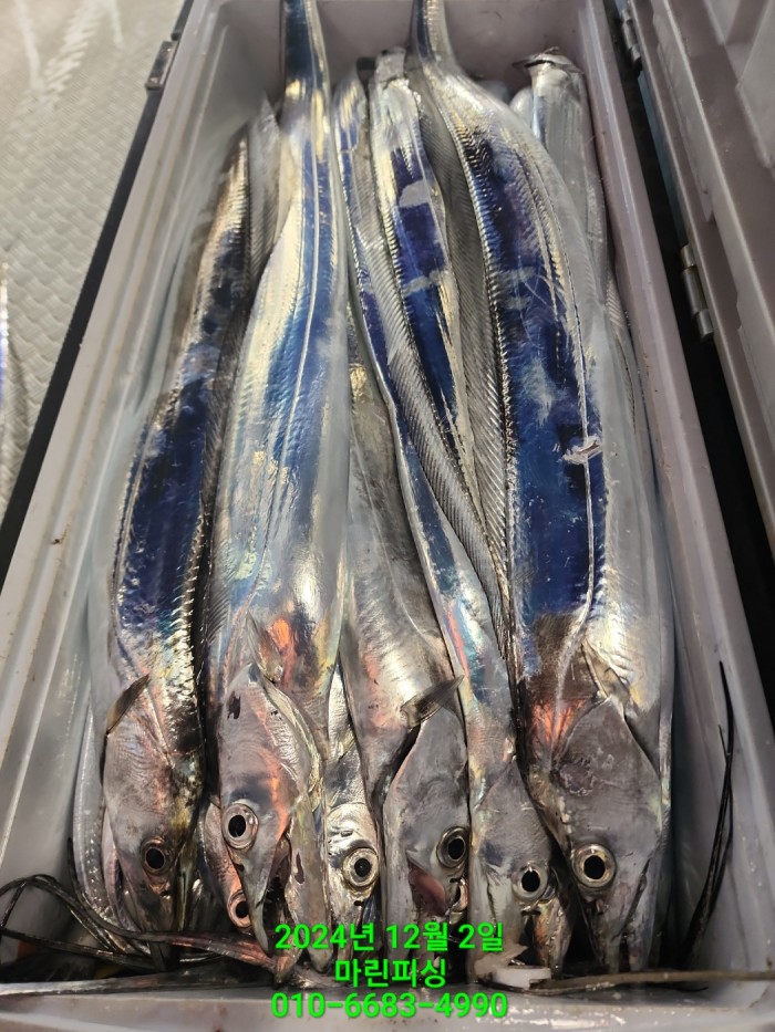 6de7b4ebaa5cd3a494d0d5bdc48c1904_1733108337_3463.jpg 6de7b4ebaa5cd3a494d0d5bdc48c1904_1733108337_3463.jpg