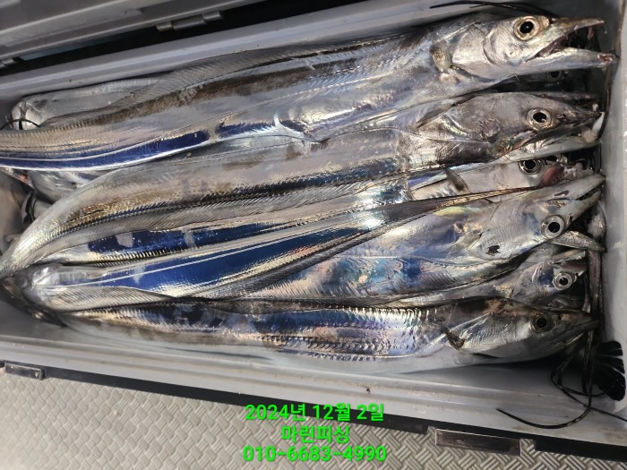 6de7b4ebaa5cd3a494d0d5bdc48c1904_1733108338_4046.jpg 6de7b4ebaa5cd3a494d0d5bdc48c1904_1733108338_4046.jpg