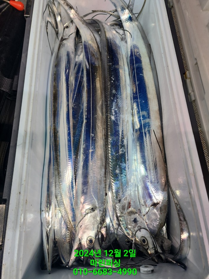 6de7b4ebaa5cd3a494d0d5bdc48c1904_1733108339_413.jpg 6de7b4ebaa5cd3a494d0d5bdc48c1904_1733108339_413.jpg