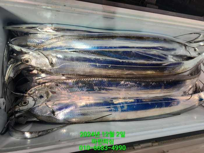 6de7b4ebaa5cd3a494d0d5bdc48c1904_1733108340_4281.jpg 6de7b4ebaa5cd3a494d0d5bdc48c1904_1733108340_4281.jpg