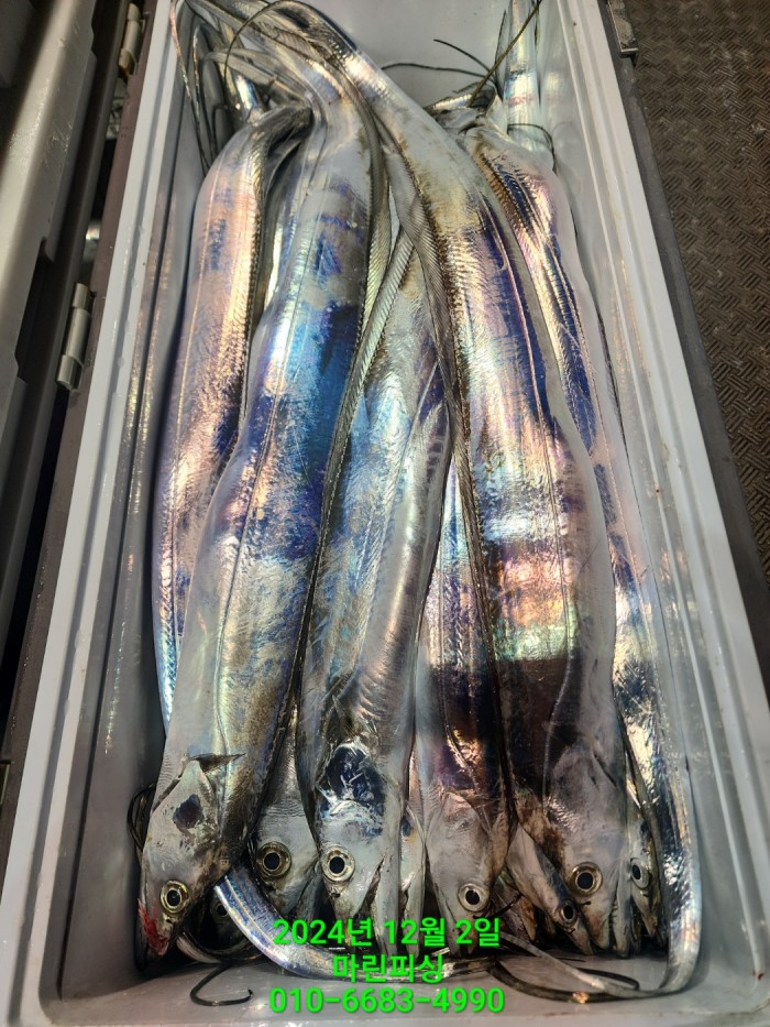 6de7b4ebaa5cd3a494d0d5bdc48c1904_1733108341_5261.jpg 6de7b4ebaa5cd3a494d0d5bdc48c1904_1733108341_5261.jpg