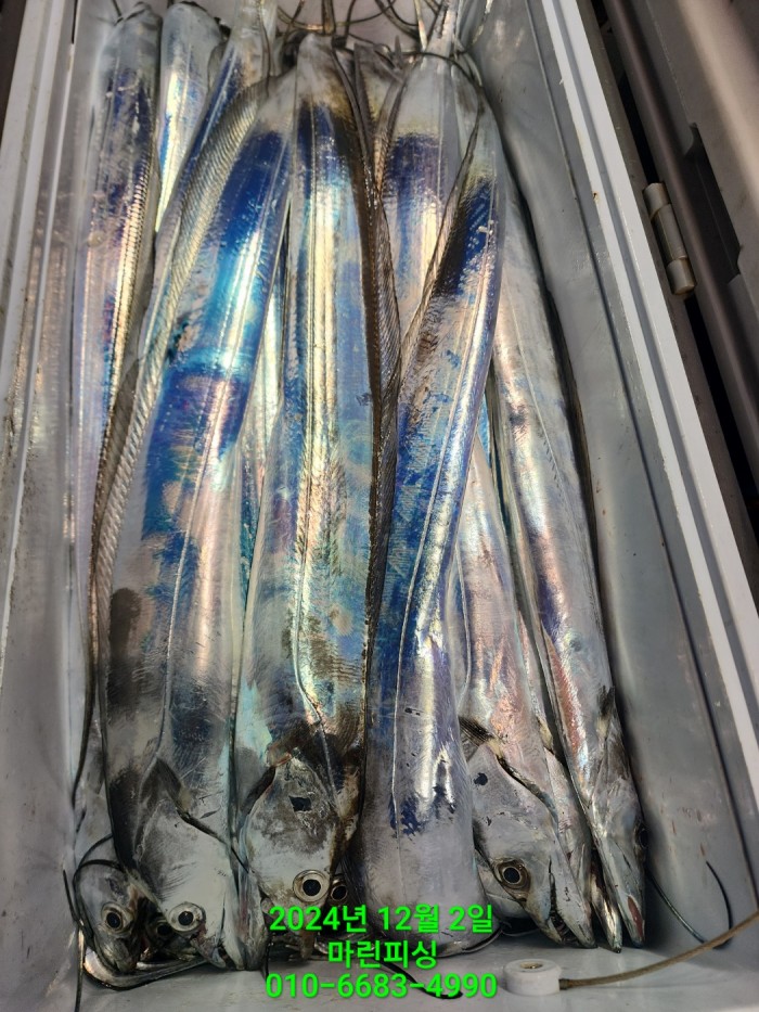 6de7b4ebaa5cd3a494d0d5bdc48c1904_1733108342_7042.jpg 6de7b4ebaa5cd3a494d0d5bdc48c1904_1733108342_7042.jpg