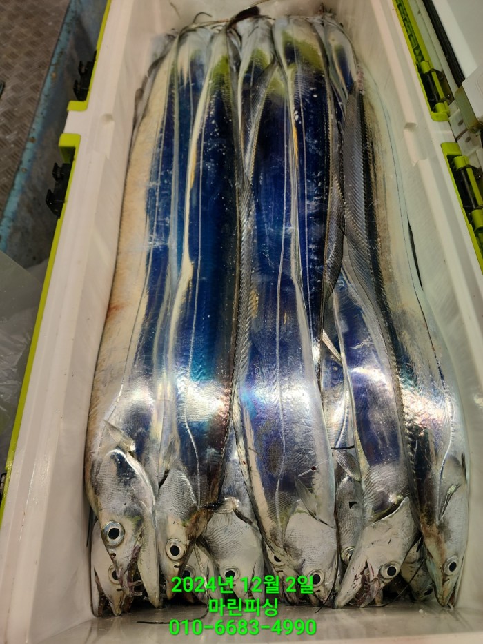 6de7b4ebaa5cd3a494d0d5bdc48c1904_1733108344_0481.jpg 6de7b4ebaa5cd3a494d0d5bdc48c1904_1733108344_0481.jpg