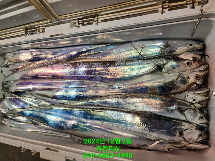 6de7b4ebaa5cd3a494d0d5bdc48c1904_1733108345_4623.jpg 6de7b4ebaa5cd3a494d0d5bdc48c1904_1733108345_4623.jpg