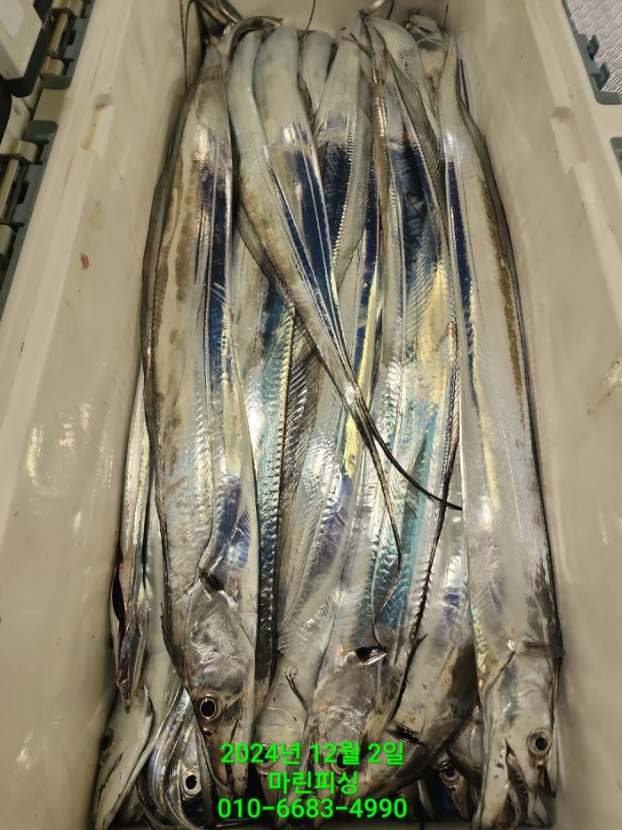 6de7b4ebaa5cd3a494d0d5bdc48c1904_1733108346_4624.jpg 6de7b4ebaa5cd3a494d0d5bdc48c1904_1733108346_4624.jpg