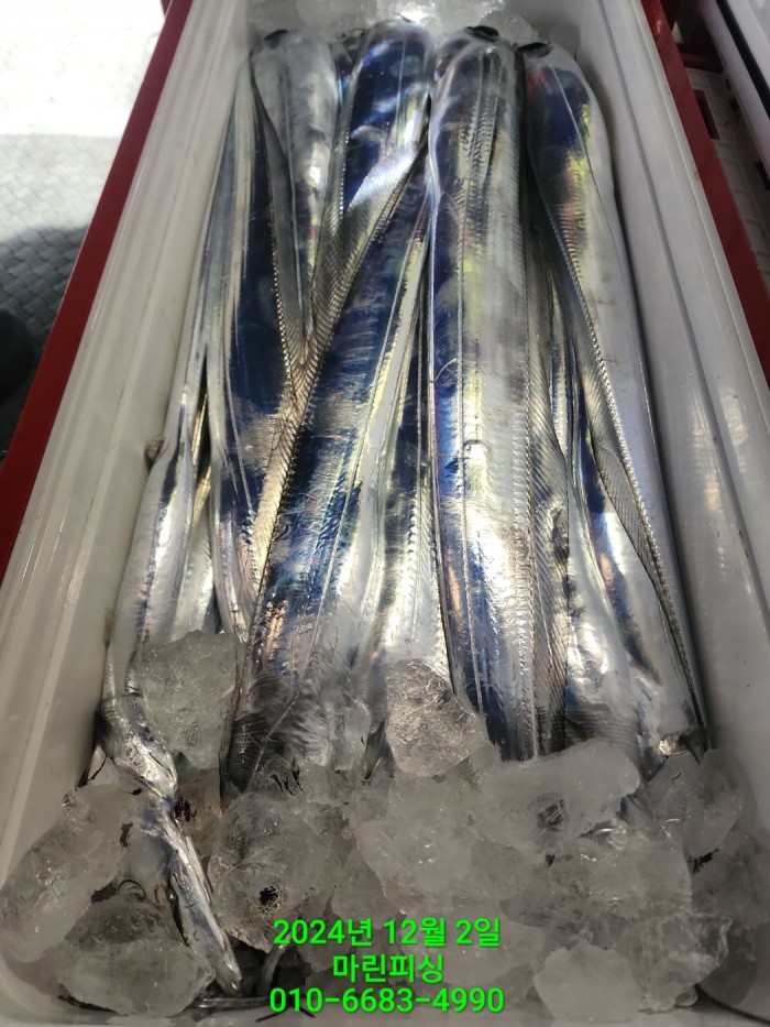 6de7b4ebaa5cd3a494d0d5bdc48c1904_1733108348_1303.jpg 6de7b4ebaa5cd3a494d0d5bdc48c1904_1733108348_1303.jpg