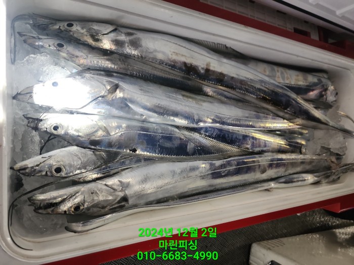 6de7b4ebaa5cd3a494d0d5bdc48c1904_1733108348_8945.jpg 6de7b4ebaa5cd3a494d0d5bdc48c1904_1733108348_8945.jpg