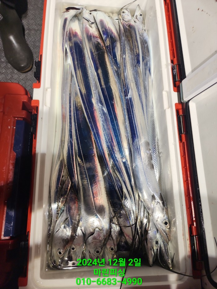 6de7b4ebaa5cd3a494d0d5bdc48c1904_1733108350_1972.jpg 6de7b4ebaa5cd3a494d0d5bdc48c1904_1733108350_1972.jpg