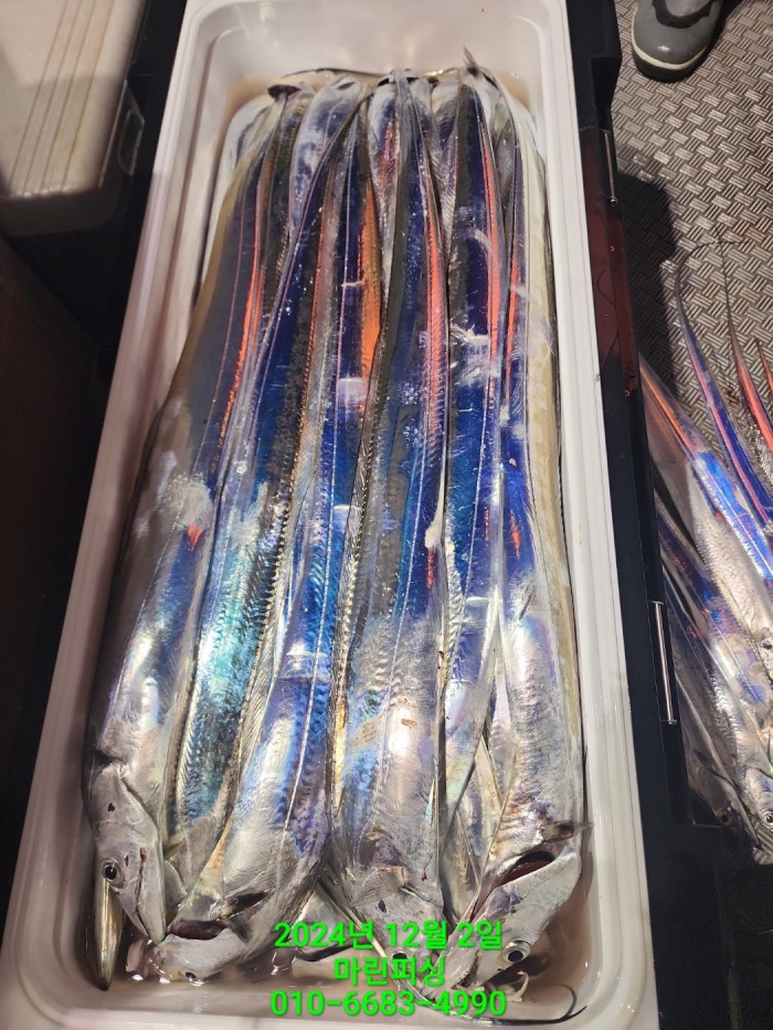 6de7b4ebaa5cd3a494d0d5bdc48c1904_1733108351_4295.jpg 6de7b4ebaa5cd3a494d0d5bdc48c1904_1733108351_4295.jpg