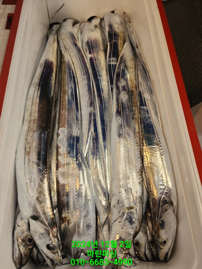 6de7b4ebaa5cd3a494d0d5bdc48c1904_1733108352_7553.jpg 6de7b4ebaa5cd3a494d0d5bdc48c1904_1733108352_7553.jpg