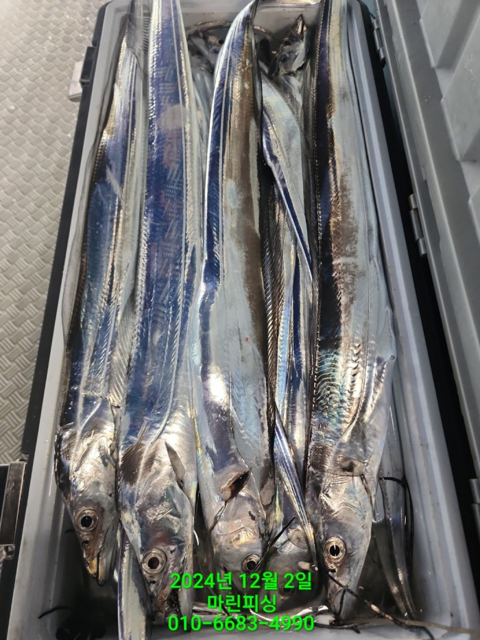 6de7b4ebaa5cd3a494d0d5bdc48c1904_1733108354_8605.jpg 6de7b4ebaa5cd3a494d0d5bdc48c1904_1733108354_8605.jpg