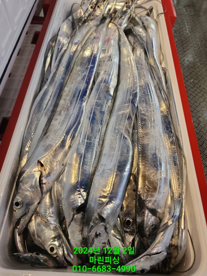 6de7b4ebaa5cd3a494d0d5bdc48c1904_1733108356_1078.jpg 6de7b4ebaa5cd3a494d0d5bdc48c1904_1733108356_1078.jpg