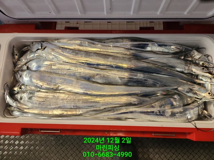 6de7b4ebaa5cd3a494d0d5bdc48c1904_1733108358_1604.jpg 6de7b4ebaa5cd3a494d0d5bdc48c1904_1733108358_1604.jpg