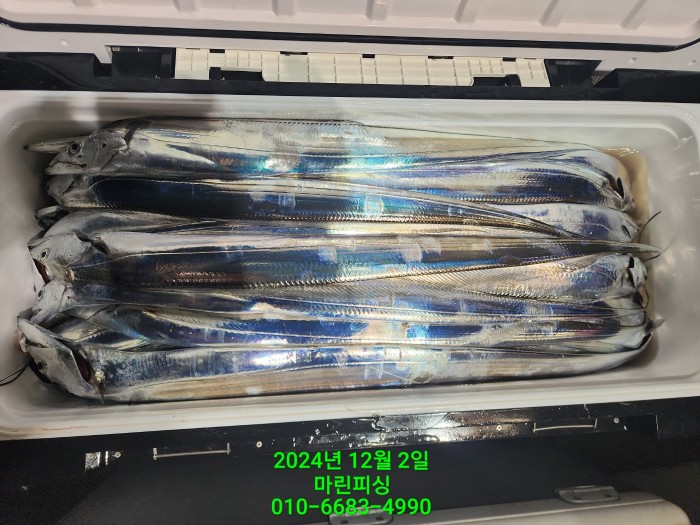 6de7b4ebaa5cd3a494d0d5bdc48c1904_1733108360_509.jpg 6de7b4ebaa5cd3a494d0d5bdc48c1904_1733108360_509.jpg