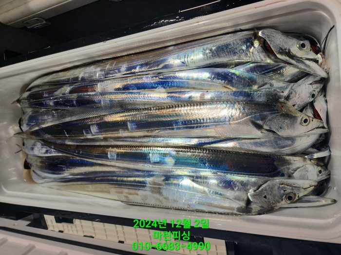 6de7b4ebaa5cd3a494d0d5bdc48c1904_1733108361_739.jpg 6de7b4ebaa5cd3a494d0d5bdc48c1904_1733108361_739.jpg